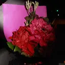 コナカ カノンのプロフィール画像