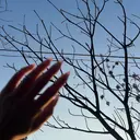 Irima nuuのプロフィール画像