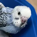 LAISSEZ 竹内のプロフィール画像