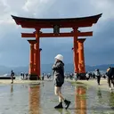 MONDO KUMINO⚘⠜のプロフィール画像