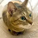 k Kanakoのプロフィール画像