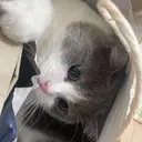 林 リンのプロフィール画像