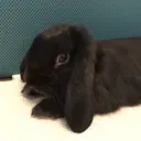 森 沙織のプロフィール画像