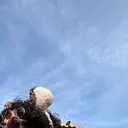 🌟CUORE 柵木遥斗🌟のプロフィール画像