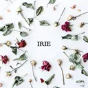 eyelash salon　IRIEのプロフィール画像