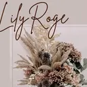 Lily Rose MIZUKIのプロフィール画像