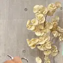 CHOU CHOU シュシュのプロフィール画像