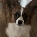 オクタ ビアスのプロフィール画像