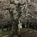 大和 紅芽のプロフィール画像