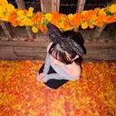 M3【エムスリー】 YUNAのプロフィール画像