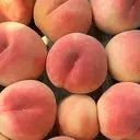 江川 愛依のプロフィール画像