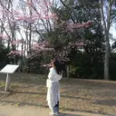 小澤 オザワのプロフィール画像