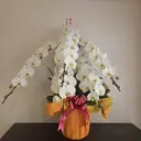 moonrise moonriseのプロフィール画像