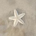 ｸﾘｱ･ｱｲ／ 茶臼山店のプロフィール画像