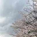 山根 凜のプロフィール画像