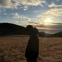 上野 祥太のプロフィール画像