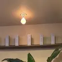 yusen 御座店 東のプロフィール画像