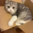 樋口 雅子のプロフィール画像