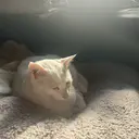 松永 紗和のプロフィール画像