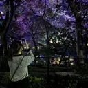 加藤 瑠奈のプロフィール画像