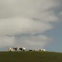 キノシタナナコ /渋谷/ボブのプロフィール画像