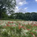 𝗲𝗶𝗴𝗵𝘁 𝗛𝗢𝗡𝗗𝗔のプロフィール画像