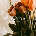 MIRANDA YUKAのプロフィール画像