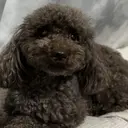 EMINAL Michikoのプロフィール画像