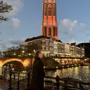 西野 麻瑚のプロフィール画像