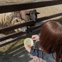 宮澤 渚のプロフィール画像