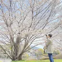 メナードフェイシャル サロン四日市 水野のプロフィール画像
