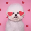 メンズ眉毛専門サロン エサージュオム新宿店のプロフィール画像