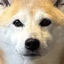 松川 菜桜のプロフィール画像