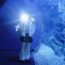 のぞみ/透明感カラー /トリートメントのプロフィール画像