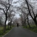 佐藤 伶哉のプロフィール画像