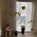 為田 希美のプロフィール画像