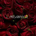 CREABELL くれあのプロフィール画像