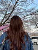 Cherie 2nd  石橋のプロフィール画像