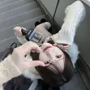 Fujimoto 🦭⸝⋆꙳のプロフィール画像