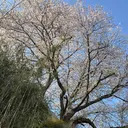 堀内 柚寿のプロフィール画像