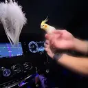 染谷 果蓮のプロフィール画像