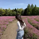 梅田 ひよりのプロフィール画像