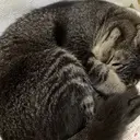 佐々木 優人のプロフィール画像