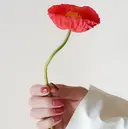 稲田 恵のプロフィール画像