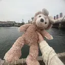 Belle🫧 スズキのプロフィール画像