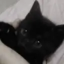 eyemor. MOE🎀のプロフィール画像