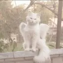 萩原 眸のプロフィール画像