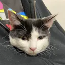 かたおか ちひろのプロフィール画像