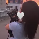 7 haaのプロフィール画像