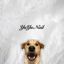 YuYu Nailのプロフィール画像